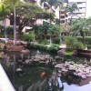 Sands of Kahana Koi Pond