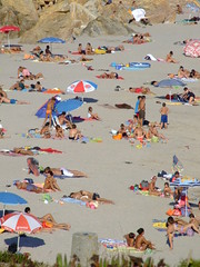 Tips to help you in choosing which timeshare resale to buy