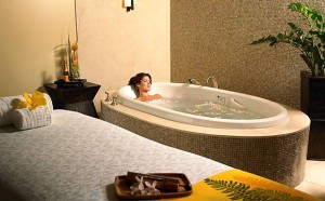 Westin Kaanapali Ocean Resort Villas Spa