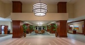 palmeras-lobby