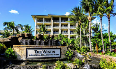 Westin Ka’anapali Ocean Resort Villas North 2020 Annual Maintenance Fees