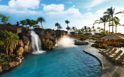 Hilton Grand Vacations Club at Kings Land 2021 Maintenance Fees
