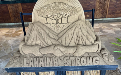 An Update from Maui Ocean Club Vacation Owners Association President