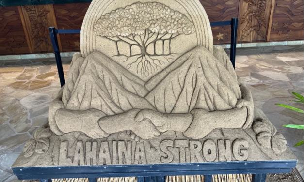 An Update from Maui Ocean Club Vacation Owners Association President